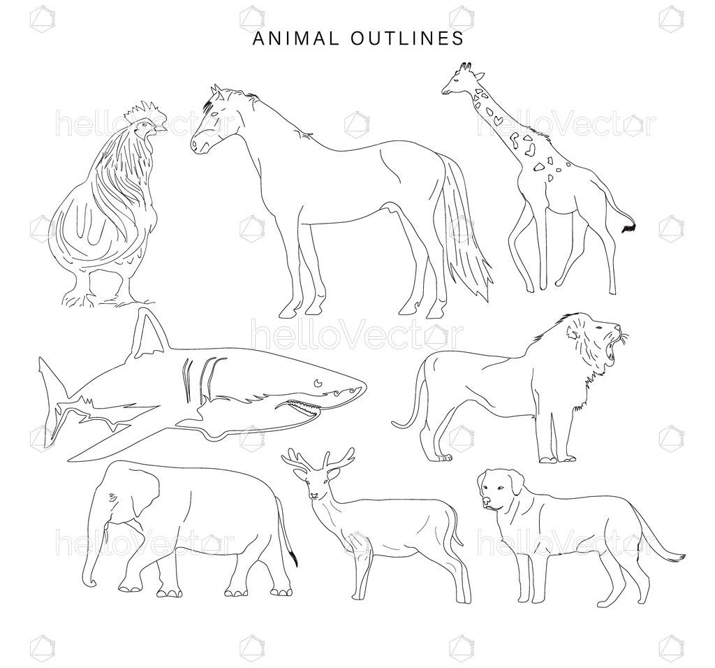 Premium Vector  A set of drawings of cute cartoon african animals vector  illustration of a black and white outline of animals for coloring or logo