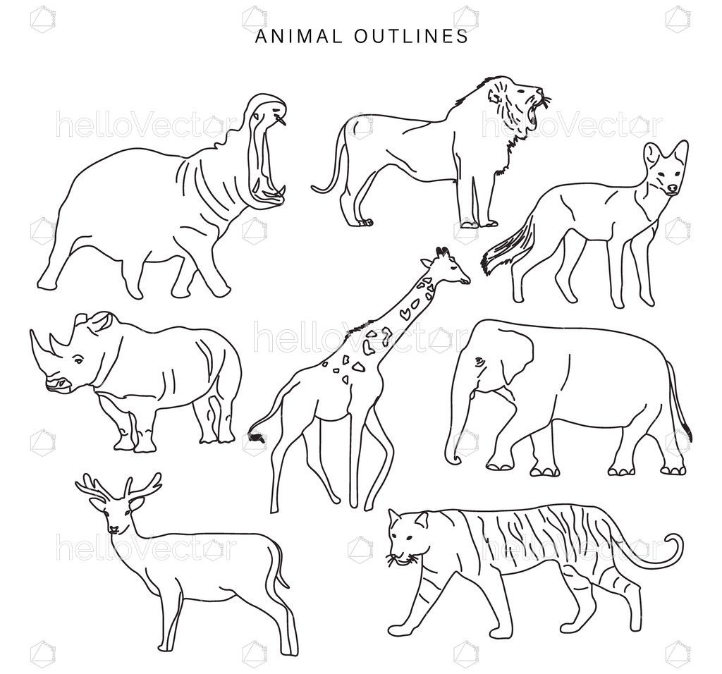 Clipart Outline Images Of Animals Animals Outlines Vector Images over