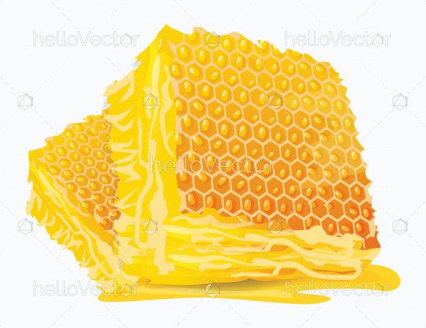 Fresh Honeycomb Slices
