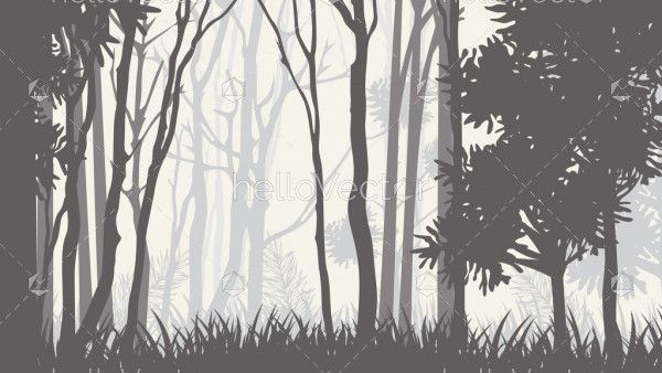 Silhouettes of trees in the misty forest