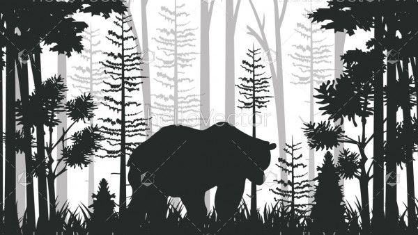 Misty forest background with bear silhouette