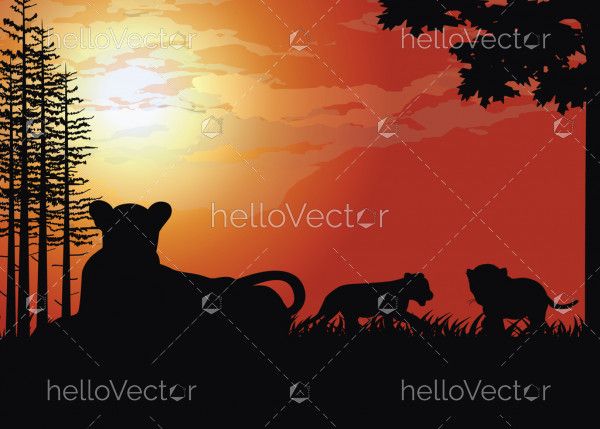 Tiger silhouette at sunset