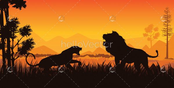 Tiger and lion fighting silhouette
