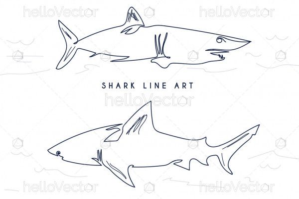 Shark fish in line art drawing style - Vector