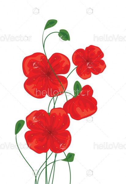 Red Poppy Flowers - Vector Illustration 