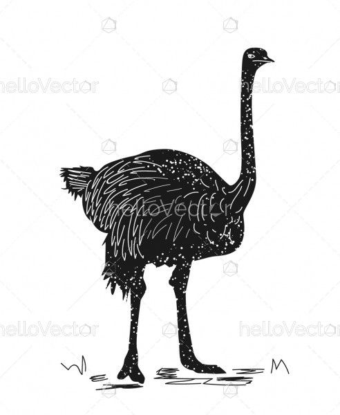 Hand drawn silhouette of ostrich