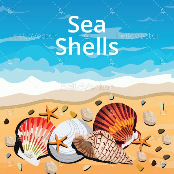 Ocean vector background with sea shells