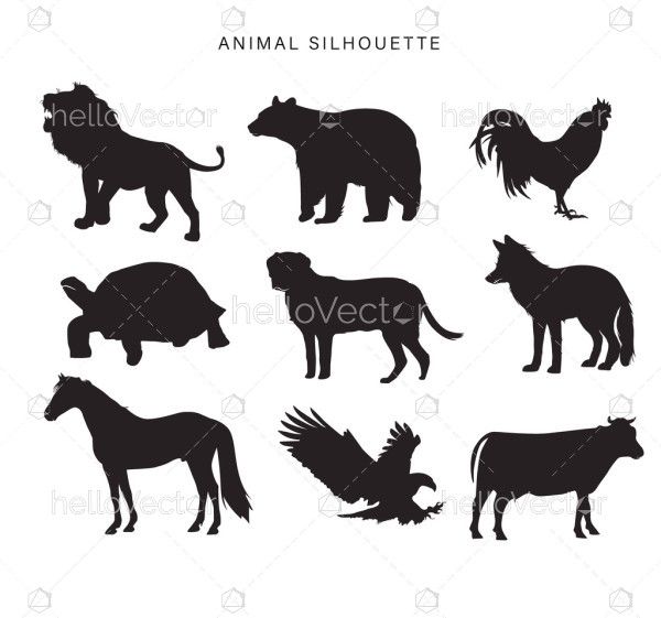 Illustration Drawing Of A Animals Silhouette Collection