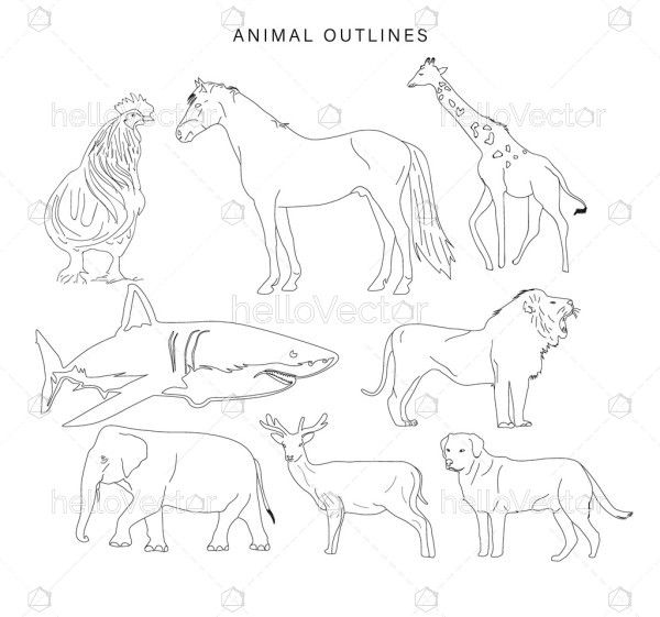 Vector Animals Outline Collection