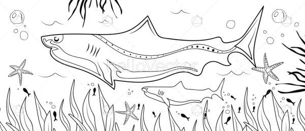 Underwater Coloring Page With Shark - Illustration