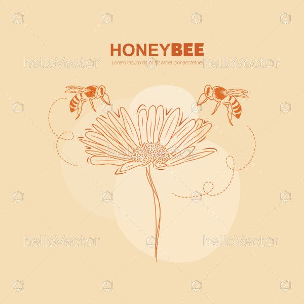 Vector drawing of honey bees on flower