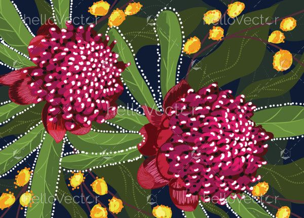 Australian Waratah Flower Artwork Illustration