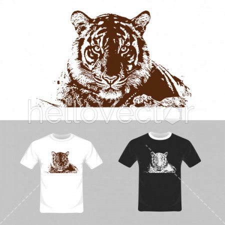 T-shirt graphic design. Tiger vector illustration