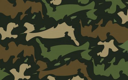 Camouflage background - Vector illustration