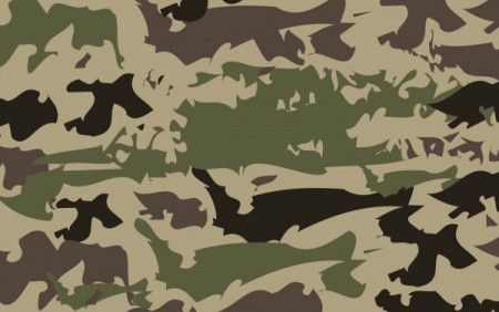 Camouflage background - Vector illustration