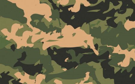 Green camouflage background vector