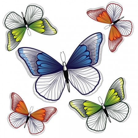 Butterfly background design for decoration