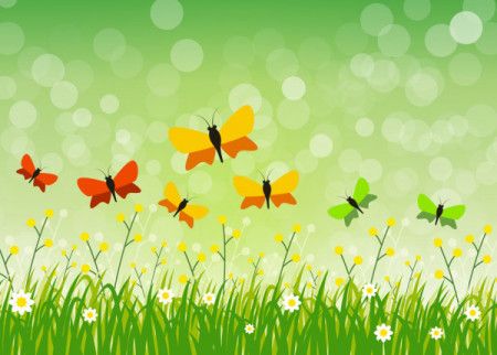 Butterfly floral vector green background