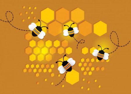 Honeycomb Vector Art, Icons, and Graphics for Free Download