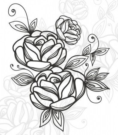 Rose flower motif sketch illustration