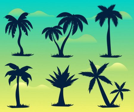 Silhouette of palm trees - Vector illustrations