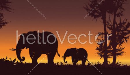 Beautiful sunset with Elephant. Baby elephant with mom, nature background - Vector illustration