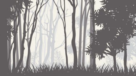 Silhouettes of trees in the misty forest