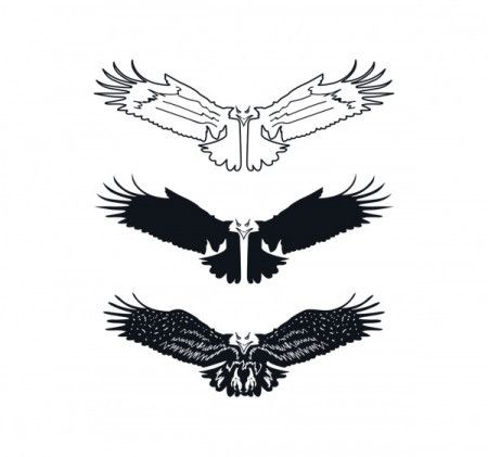 Open wings eagle silhouette