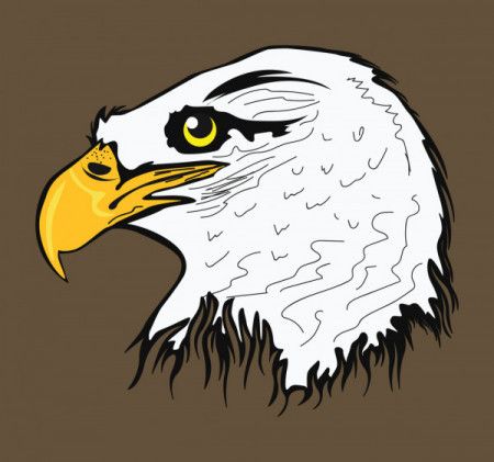 Colorful eagle Head Logo pop art style, eagle face Sticker, pastel cute  colors, AI generated. 24553725 PNG