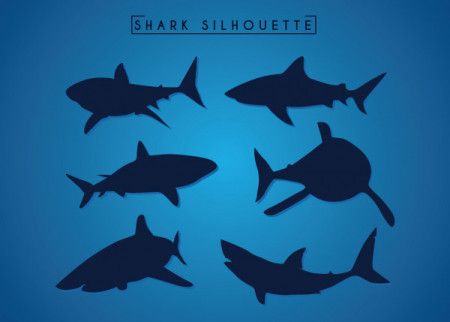 Sharks silhouette collection - Vector Illustration