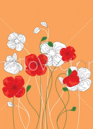 Red and white poppy flowers, Floral background with poppies - Vector Illustration