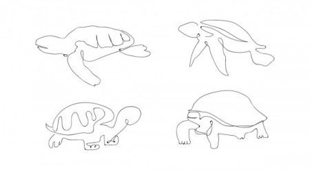 Turtle Line Drawing Set