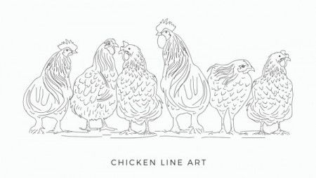 Chicken line art set