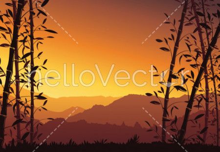 Nature background with bamboo. Colorful sunset wallpaper - vector illustration