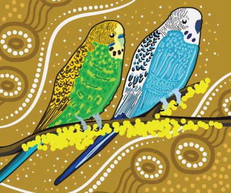 Budgerigars bird art in aboriginal style