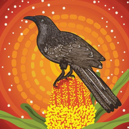 Little Wattlebird Aboriginal Artwork - Vector