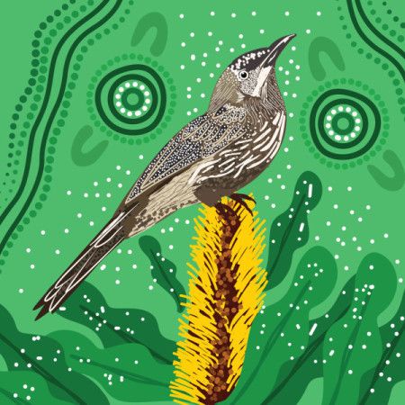 Western Wattlebird Aboriginal Artwork - Vector