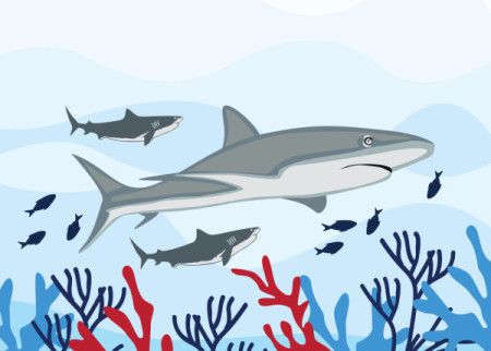 Shark underwater background - Vector