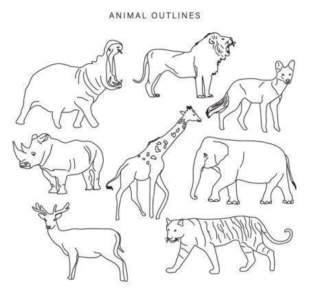 Vector Animals Outline Collection - Download Graphics & Vectors
