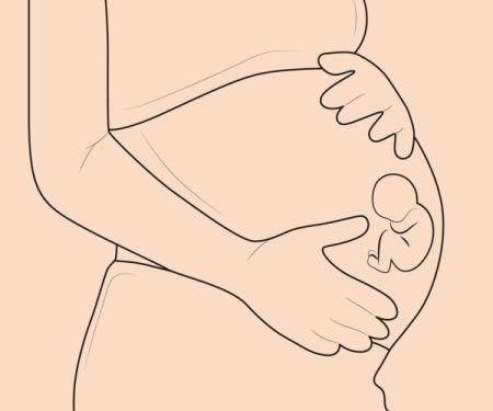 Pregnant woman line drawing - Vector Illustration