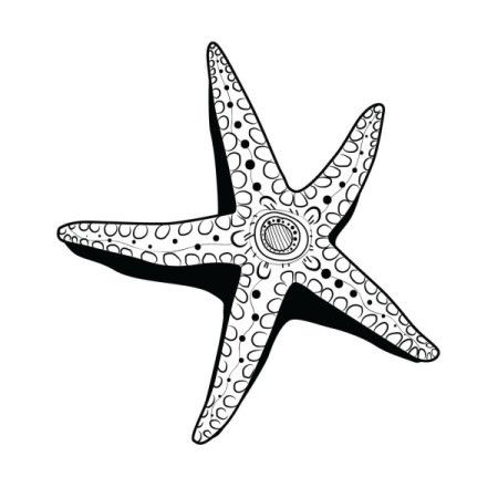 Starfish black sketch in aboriginal art style - Vector illustration