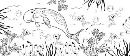Underwater sea life coloring page - Illustration