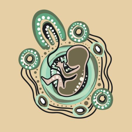 Aboriginal art depicting a fetal image