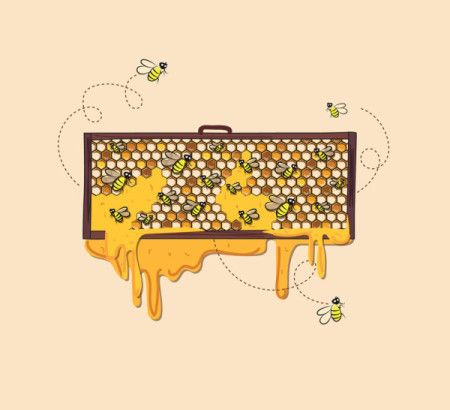 Bees on honeycomb illustration