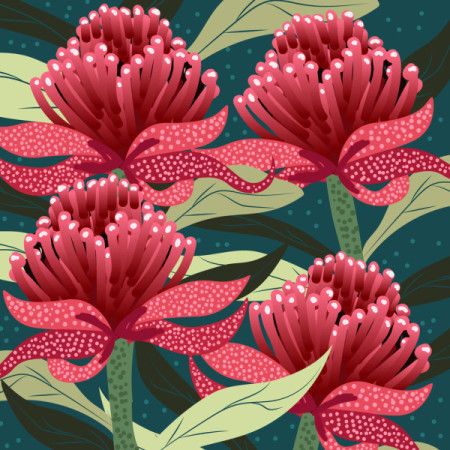 Australian Waratah Flowers Painting In aboriginal style