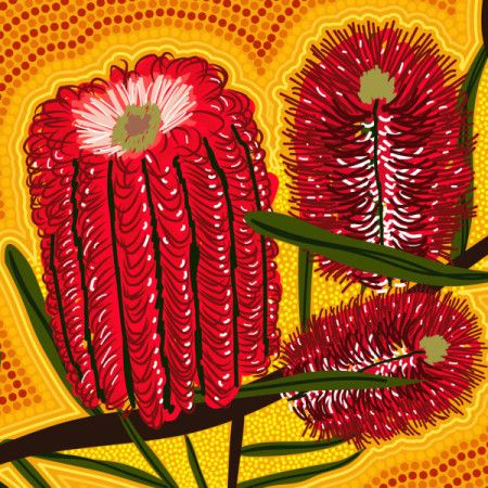 Aboriginal Dot Art of Australian Native Banksia Flower