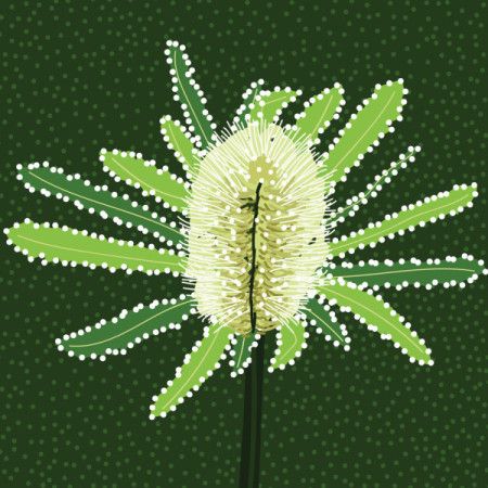 Green Banksia Flower Painting In aboriginal style