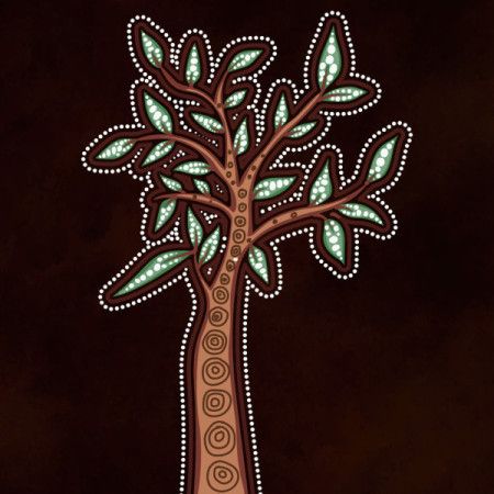 Aboriginal Tree of Life Illustration